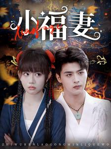 小福妻（62集全）吕星灼-搜外项目网
