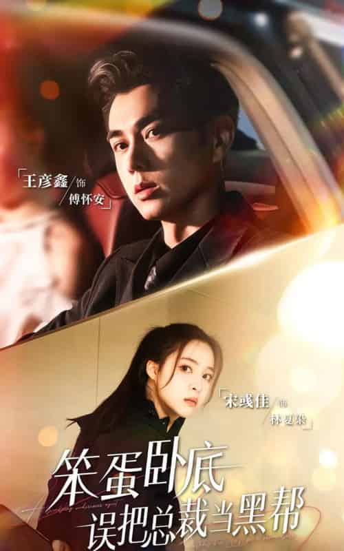 笨蛋卧底,误把总裁当黑帮(76集全)王彦鑫&宋彧佳-搜外项目网