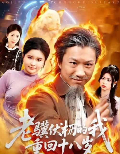 老骥伏枥的我重回十八岁（80集全）孔梓权＆王盈心-搜外项目网