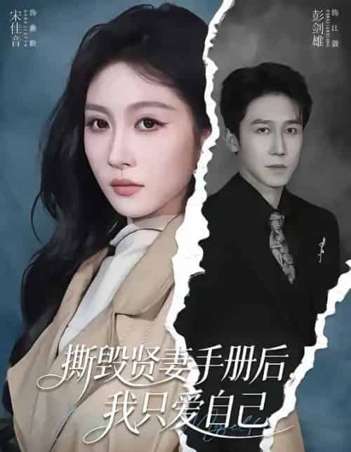 撕毁贤妻手册后，我只爱自己（60集全）彭剑雄＆宋佳音-搜外项目网