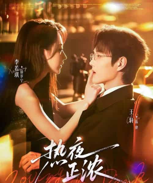 热夜正浓（76集全）王轩＆李若琪-搜外项目网