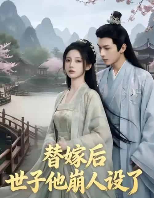 替嫁后，世子他崩人设了（36集全）AI-搜外项目网