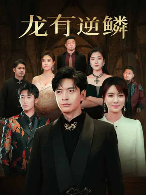 龙有逆鳞（65集全）何子杰＆辛宛柔-搜外项目网