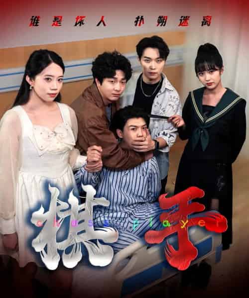 棋手（15集全）项云＆谭凯文-搜外项目网