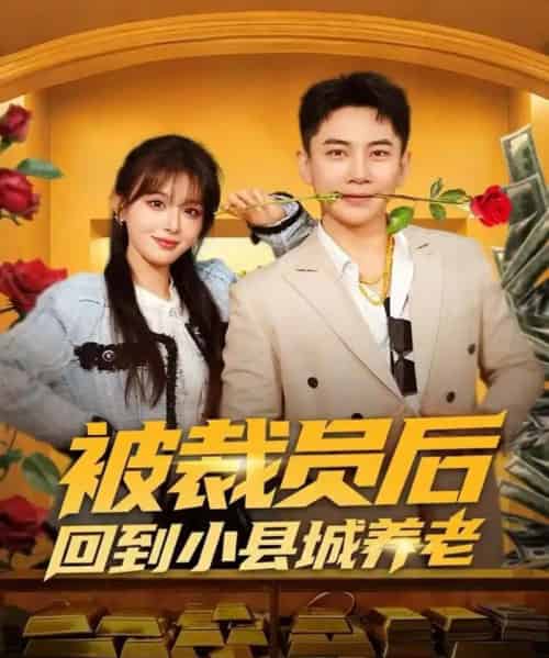 被裁员后回到小县城养老（80集全）张玉轩＆李婷（啾啾）-搜外项目网