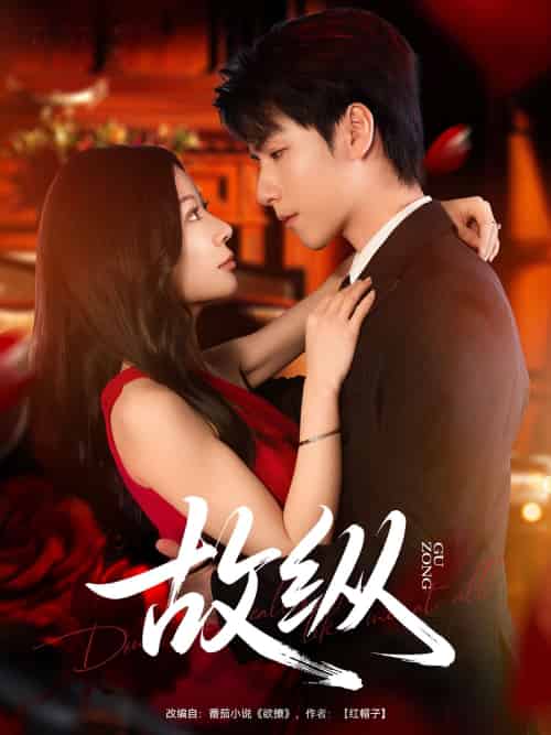 故纵（74集）许凌云＆林初-搜外项目网