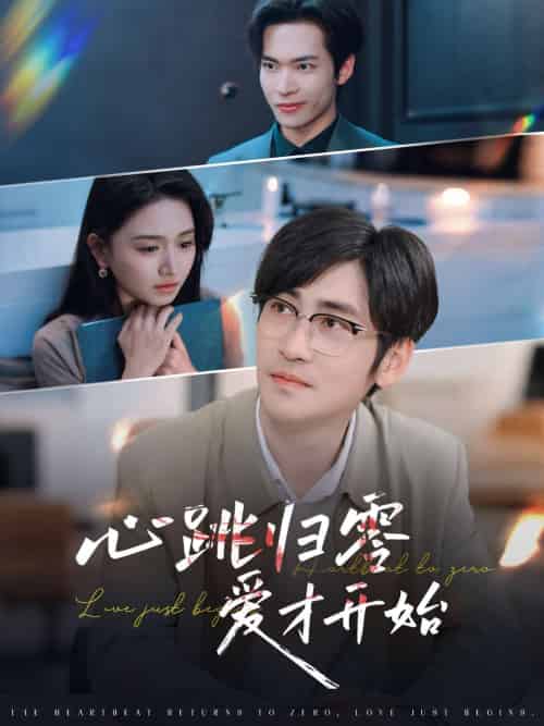 心跳归零爱才开始（61集）高杨＆高琳琳-搜外项目网