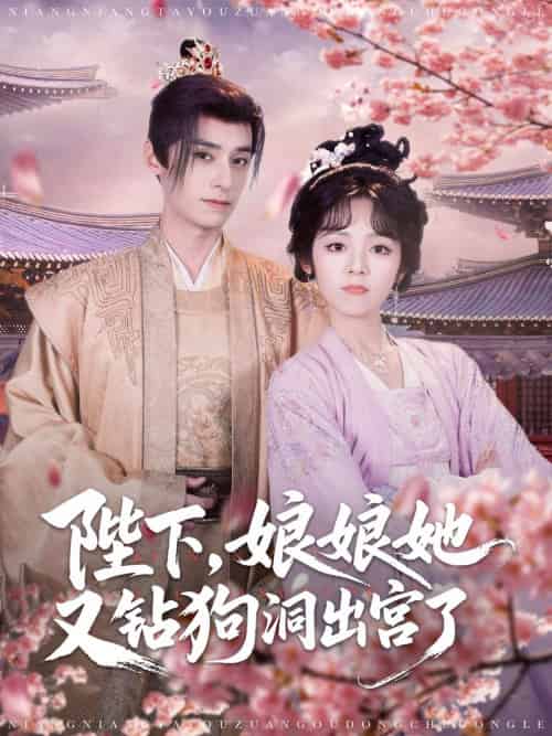 陛下娘娘她又钻狗洞出宫了(80集)夜逸&郝韵-搜外项目网