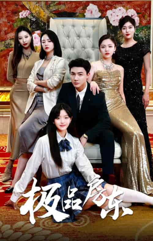 极品房东（36集）徐真＆魏琳儒-搜外项目网