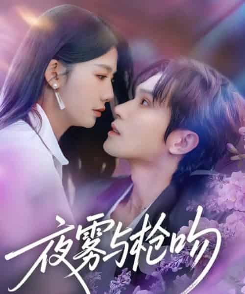 夜雾与枪吻（59集全）林世杰＆牛湘鹭-搜外项目网