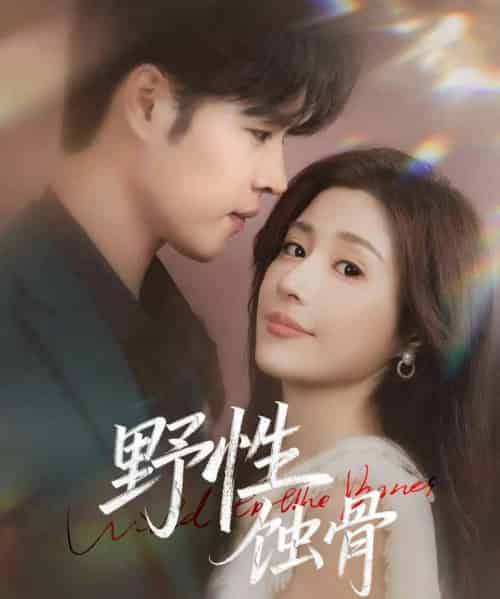 野性蚀骨（86集全）张达塬＆华雯-搜外项目网