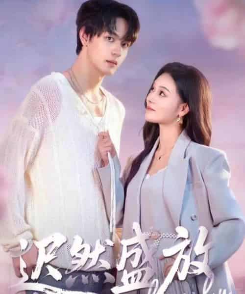 迟然盛放（79集全）严干＆艾江山-搜外项目网