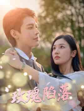 玫瑰陷落（67集）蹇代莉-搜外项目网