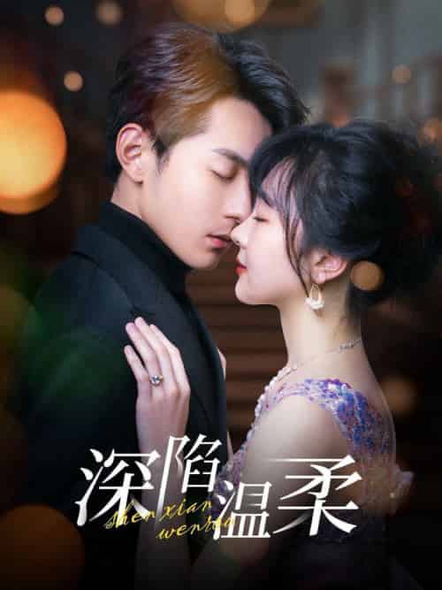 深陷温柔（62集全）张屹杨＆柳丙璐-搜外项目网