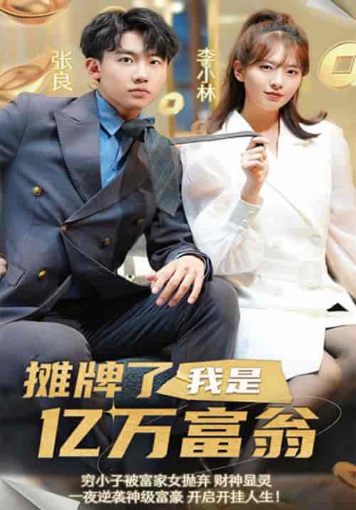 摊牌了，我是亿万富翁（99集全）张良＆李小林-搜外项目网