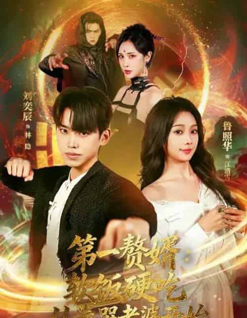 第一赘婿：软饭硬吃，从卷哭老婆开始＆第一赘婿软饭硬吃从卷哭老婆开始（69集全）刘奕辰＆鲁照华-搜外项目网