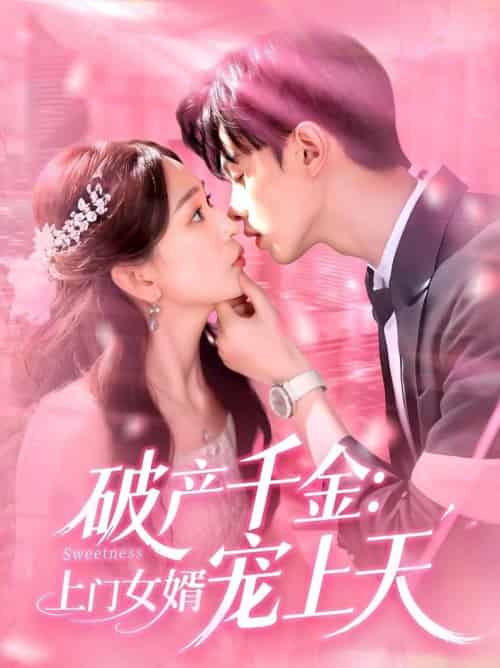 破产千金上门女婿宠上天（103集全）彭千玲＆王千硕-搜外项目网