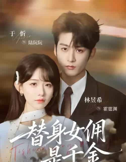 替身女佣是千金(58集全)林昱希&于忻-搜外项目网