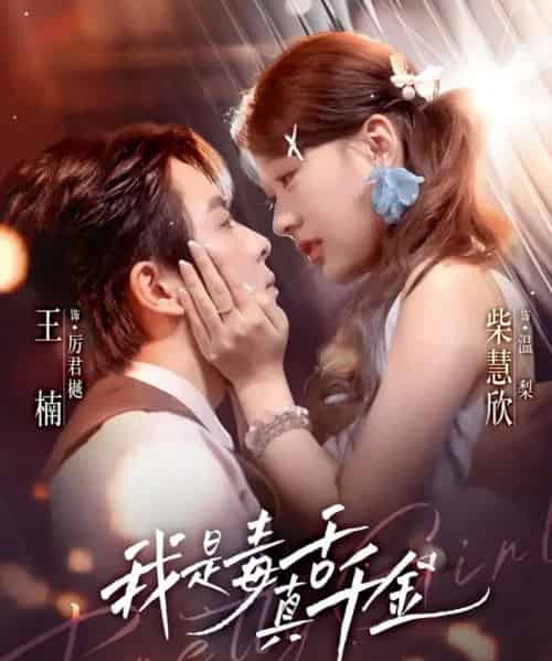 我是毒舌真千金（73集全）王楠＆柴慧欣-搜外项目网