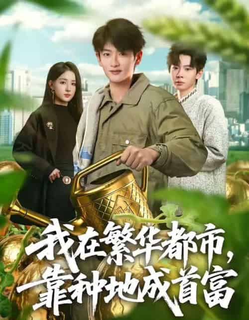 我在繁华都市，靠种地成首富（70集全）韩叙＆辛诗琪-搜外项目网