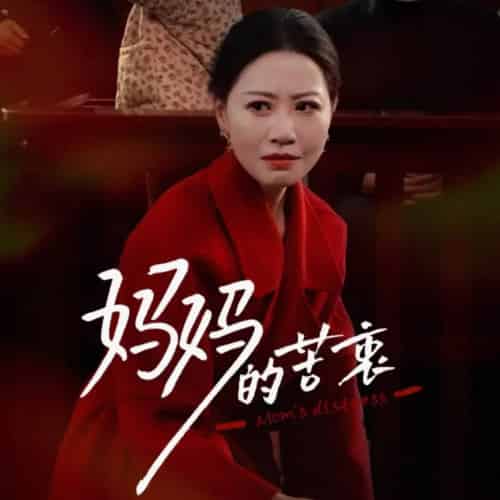 妈妈的苦衷（32集全）刘清心-搜外项目网