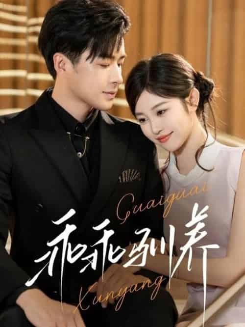 乖乖驯养（66集全）孔奇力＆刘盈-搜外项目网