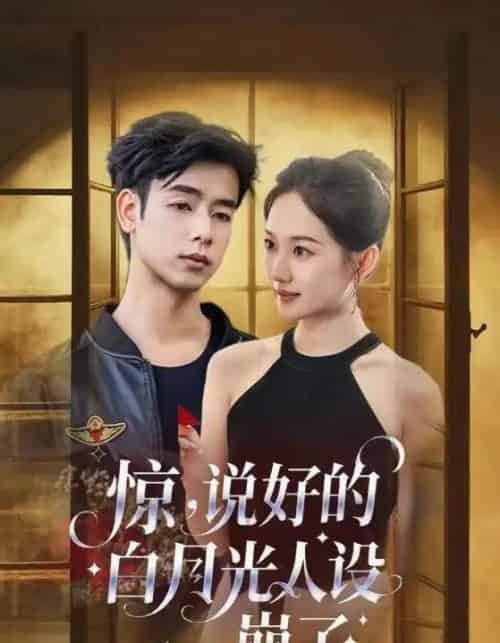 惊说好的白月光人设崩了（50集）王忻月＆吴思君-搜外项目网