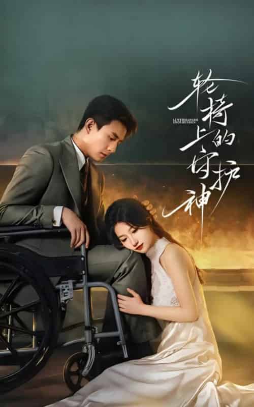 轮椅上的守护神（25集全）刘萧旭＆兰岚-搜外项目网