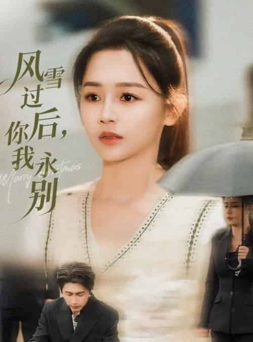 风雪过后你我永别（51集全）王禹润＆郑湘敏-搜外项目网