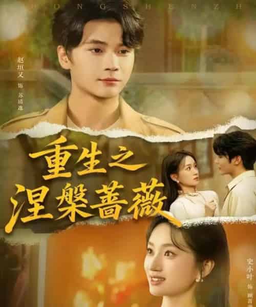 重生之涅槃蔷薇(80集全)赵坦又&史小叶-搜外项目网