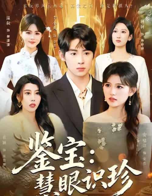 鉴宝：慧眼识珍（75集全）李小风＆安晓洁-搜外项目网