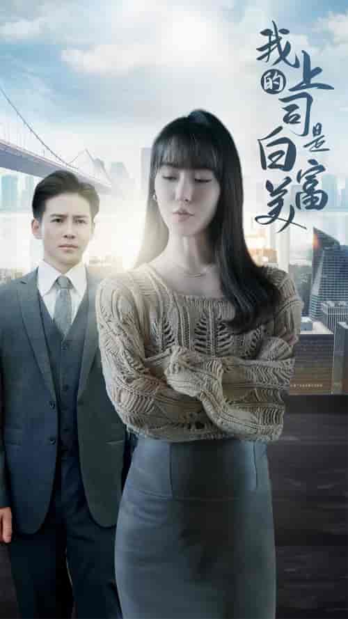 我的上司是白富美（88集）李子峰＆张紫淋-搜外项目网