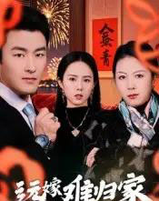 远嫁难归家（32集）姜博龙-搜外项目网