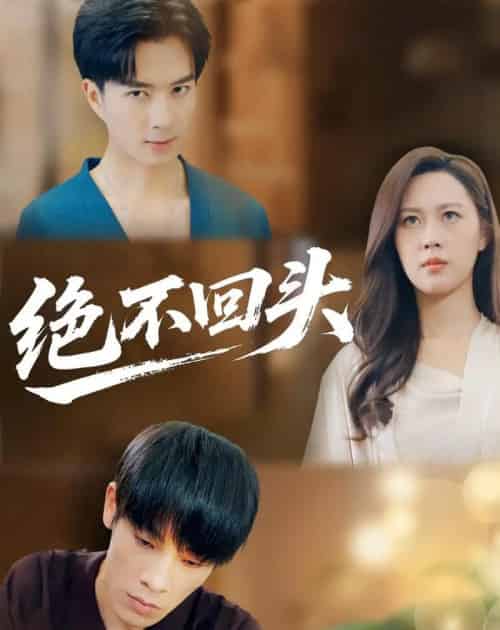 绝不回头（30集全）王翊琳＆王林-搜外项目网