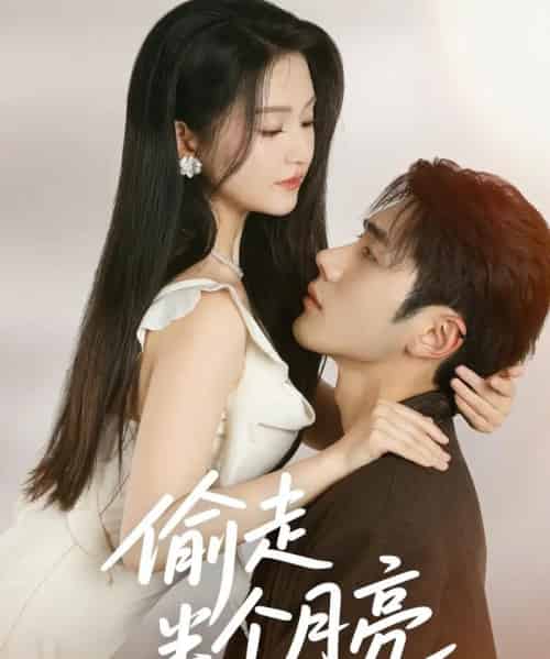 偷走半个月亮（61集）李铂一＆高琳琳-搜外项目网