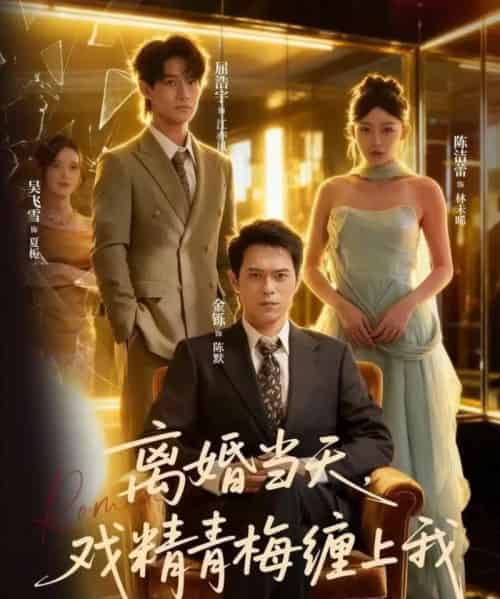 离婚当天戏精青梅缠上我（79集全）陈洁蕾＆金铄-搜外项目网