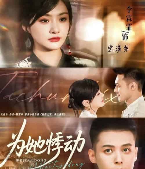 为她悸动（87集全）李霖霏＆陈孟奇-搜外项目网