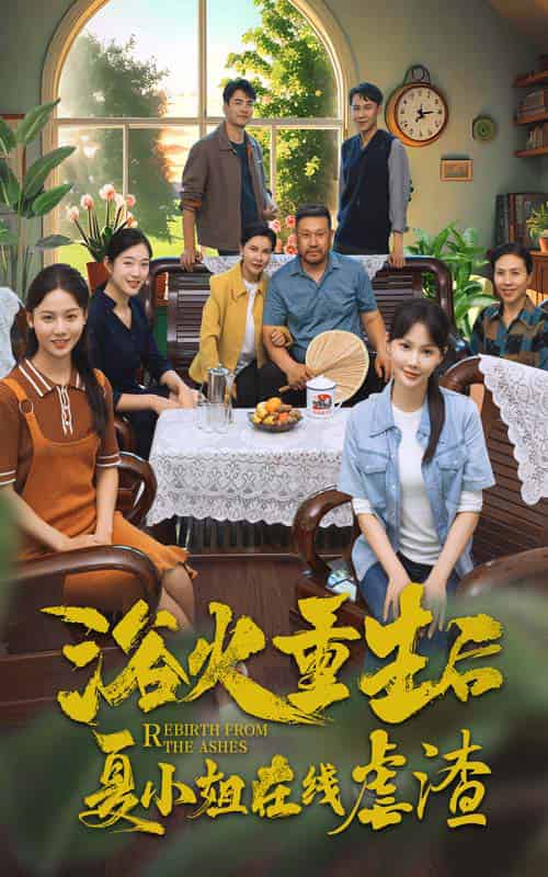 浴火重生后夏小姐在线虐渣（79集）-搜外项目网