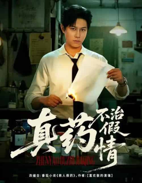 真药不治假情（60集全）杨晰茹＆晁轩-搜外项目网