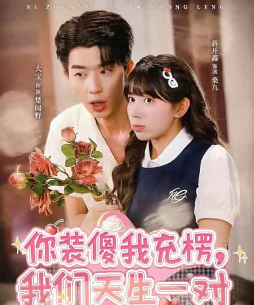 你装傻我充楞,我们天生一对(79集全)大宝&蒋开鑫-搜外项目网