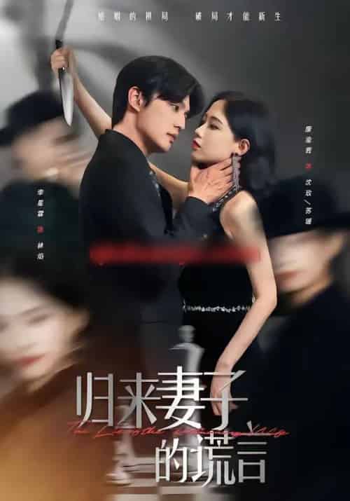 归来妻子的谎言(49集全)李星霖&康渝茜-搜外项目网