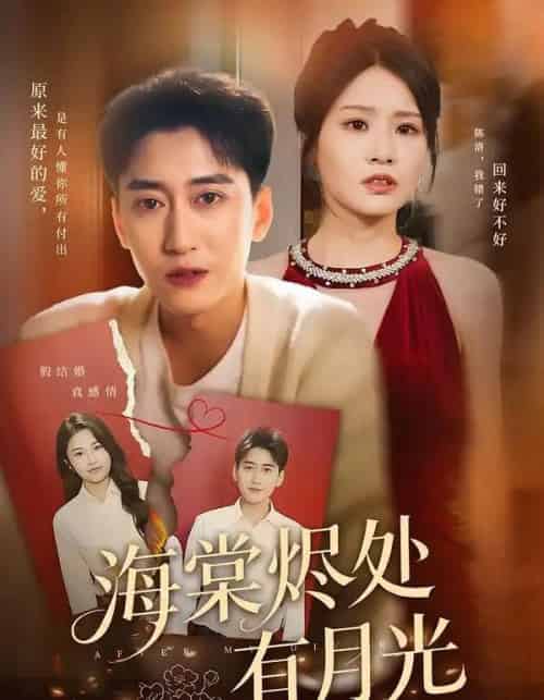 海棠烬处有月光（70集全）张佳艺＆常子轩-搜外项目网