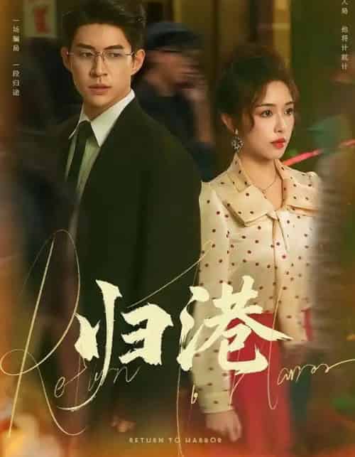 归港（63集全）毛唯嘉＆贾金赛-搜外项目网