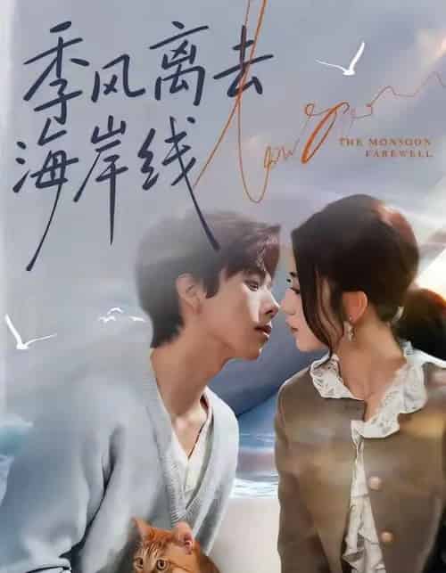 季风离去海岸线（64集全）何怡婷＆张文浩-搜外项目网