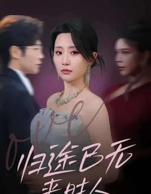 归途已无来时人（70集全）李智颖＆薛大钊-搜外项目网