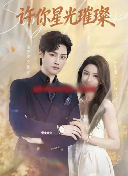 许你星光璀璨(80集全)储子竣&张雪菡-搜外项目网