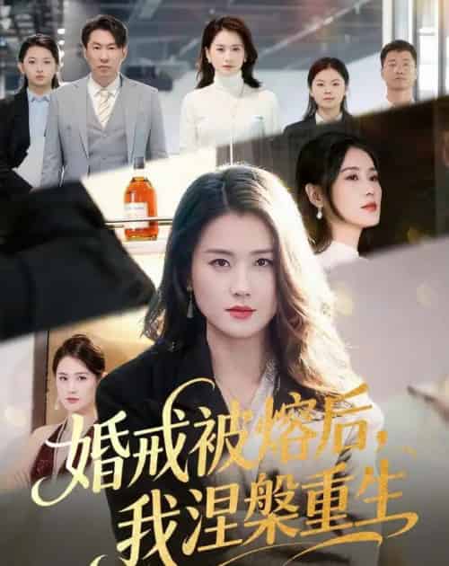 婚戒被熔后,我涅槃重生(61集全)周颖&高骏-搜外项目网