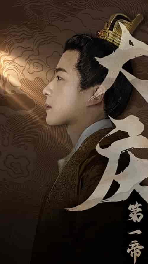 大庆第一帝（67集全）王星辰-搜外项目网