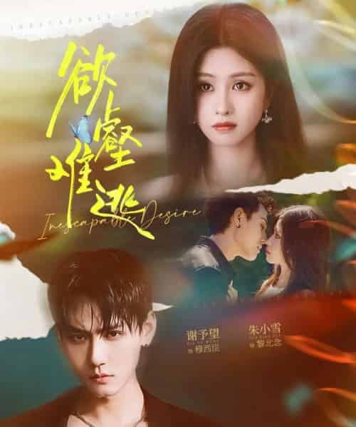 欲壑难逃（64集全）谢予望＆朱小雪-搜外项目网