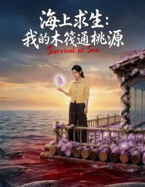 海上求生：我的木筏通桃源（100集全）AI-搜外项目网